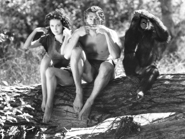 Tarzan Escapes