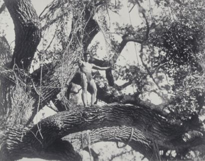 Tarzan, the Ape Man