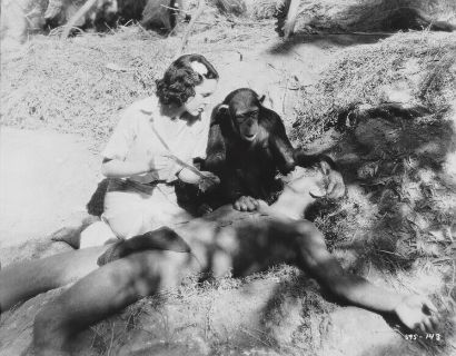 Tarzan, the Ape Man