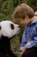 The Amazing Panda Adventure
