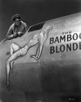 The Bamboo Blonde