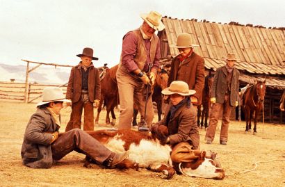 The Cowboys