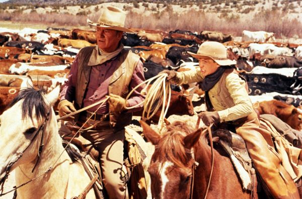 The Cowboys