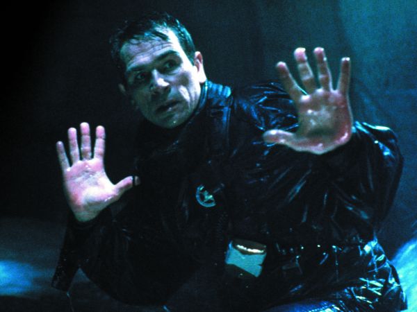 The Fugitive