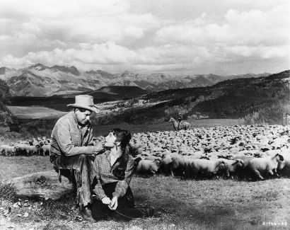 The Sheepman