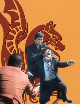 The Street Fighter's Last Revenge
