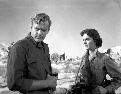 Biography Of Movie Brothers | james arness biography movie highlights and photos Biography Of Movie Brothers | james arness biography movie highlights and photos