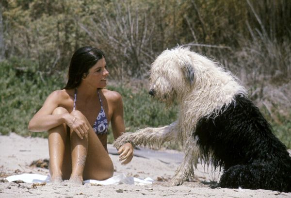 They Only Kill Their Masters 1972 James Goldstone