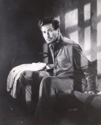 Errol Flynn