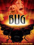 Bug