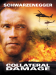 Collateral Damage