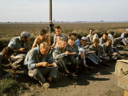 Cool Hand Luke