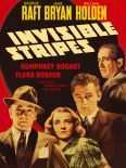 Invisible Stripes