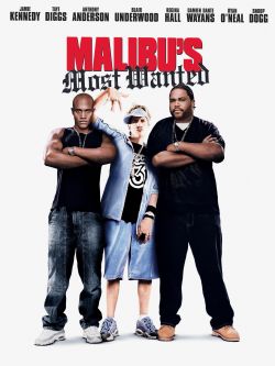 Malibu's Most Wanted