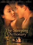 The Sleeping Dictionary