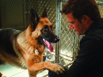 Cats & Dogs: The Revenge of Kitty Galore