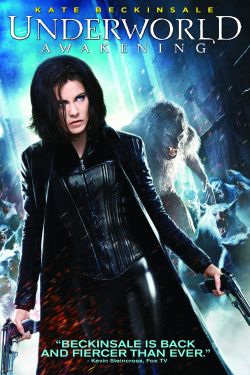 DVD cover