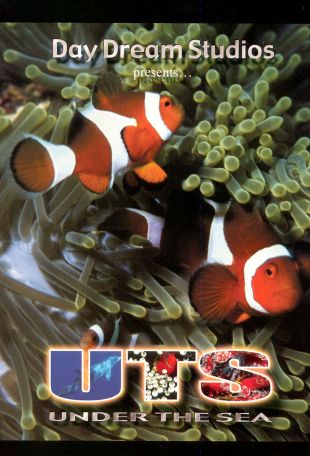 Under the Sea