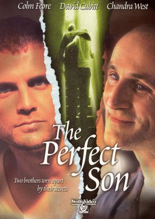 The Perfect Son