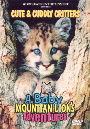 Cute and Cuddly Critters: A Baby Mountain Lion's Adventures