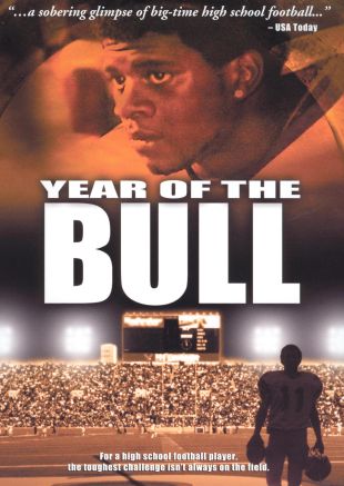 Year of the Bull