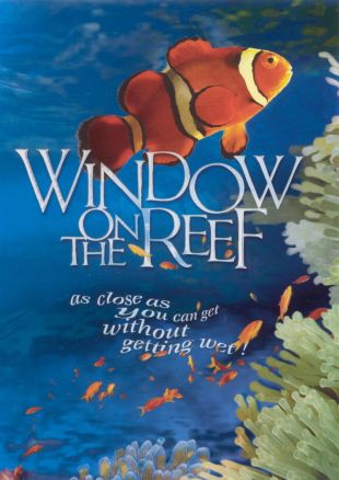 Window On the Reef