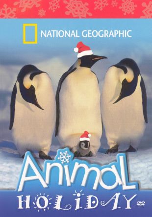 National Geographic Kids: Animal Holiday