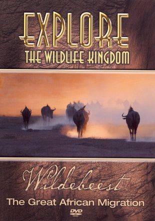 Explore the Wildlife Kingdom: Wildebeest - The Great African Migration