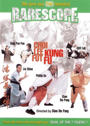 Choi Lee Fut Kung Fu