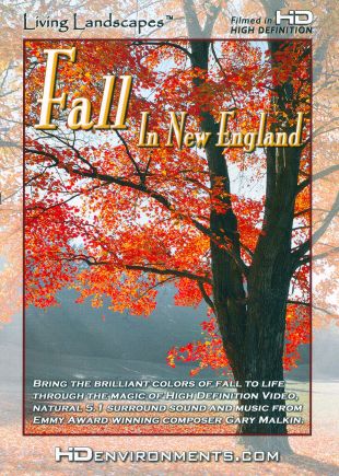 Living Landscapes: Fall in New England
