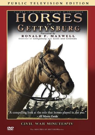 Horses of Gettysburg
