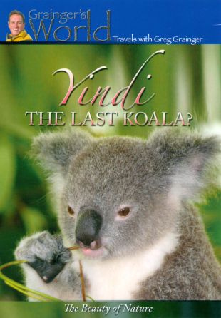 Yindi: The Last Koala?