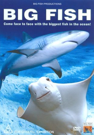 Big Fish: Come Face to Face with the Biggest Fish in the Ocean!