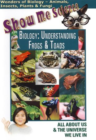 Biology: Understanding Frogs and Toads (2008) - | Synopsis