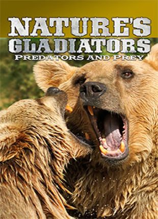 Nature's Gladiators: Predators and Prey