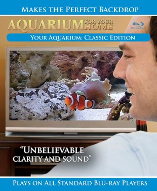 Aquarium for Your Home