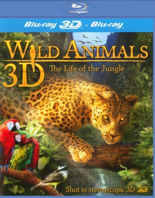 Wild Animals 3D