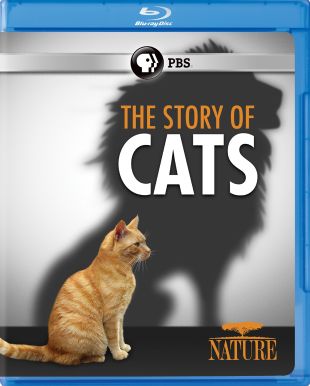 Nature: The Story of Cats