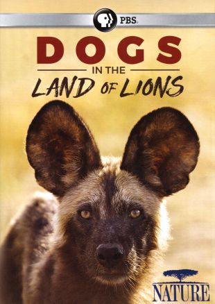 Nature: Dogs in the Land of Lions