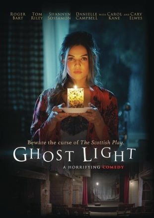 Ghost Light by E.J. Stevens