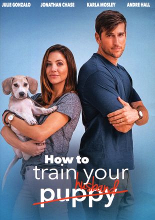 2018 How To Train Your Husband