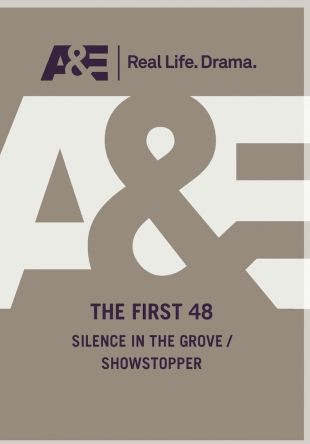 The First 48 : Silence in the Grove; Show Stopper