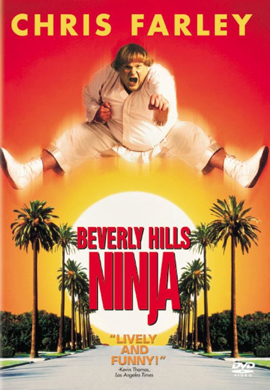 Beverly Hills Ninja (1997) Synopsis, Characteristics, Moods, Themes and Related AllMovie