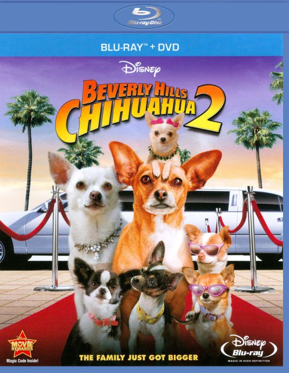 Beverly Hills Chihuahua 2 (2011) - Alex Zamm | Synopsis ...