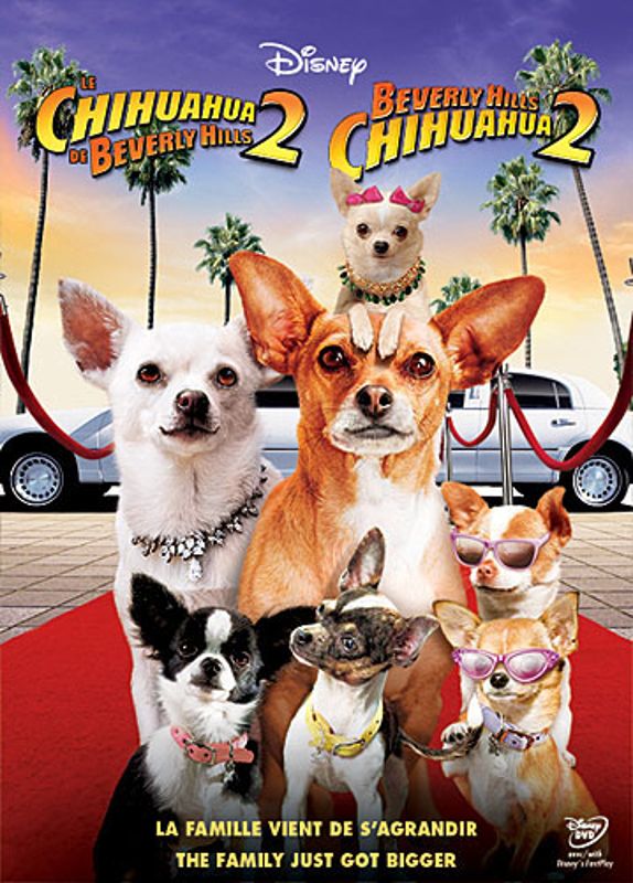 Beverly Hills Chihuahua 2 (2011) - Alex Zamm | Synopsis ...