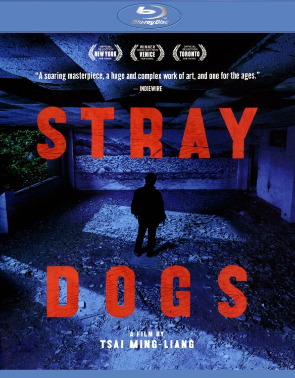 stray dogs movie reviews