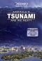 America's Tsunami: Are We Next?