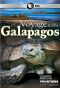 Scientific American Frontiers : Voyage to the Galapagos