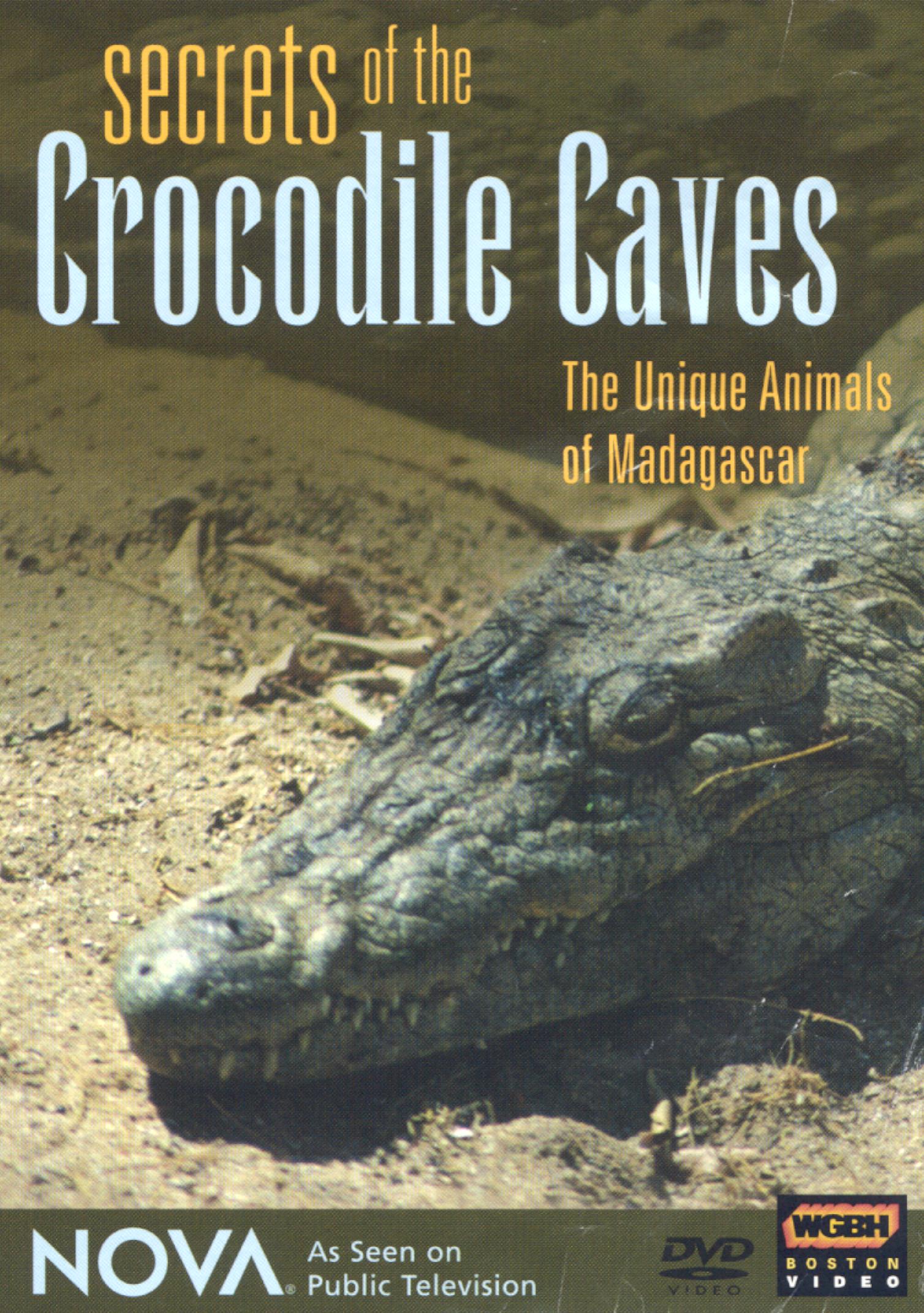 NOVA: Secrets of the Crocodile Caves NOVA: Secrets of the Crocodile Caves