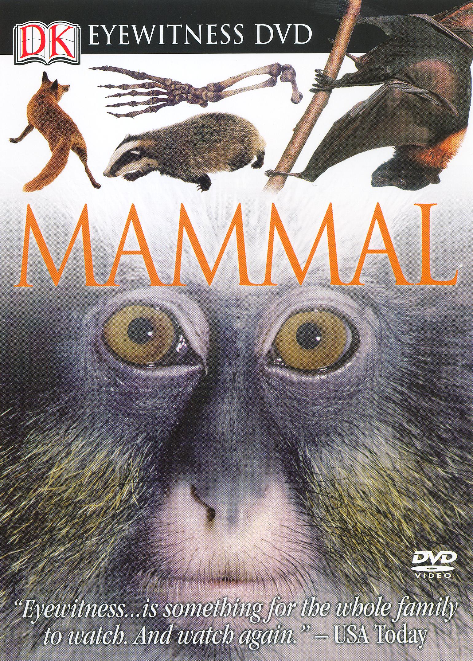 Eyewitness: Mammal (1999) Eyewitness: Mammal (1999)